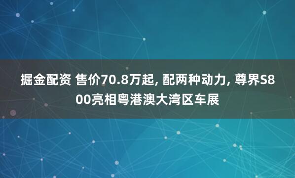 掘金配资 售价70.8万起, 配两种动力, 尊界S800亮相粤港澳大湾区车展