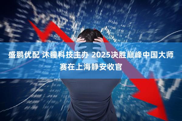 盛鹏优配 沐瞳科技主办 2025决胜巅峰中国大师赛在上海静安收官